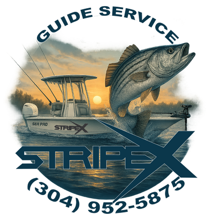 Boone Lake Striper Fishing Trip – Guided with StripeX Rods