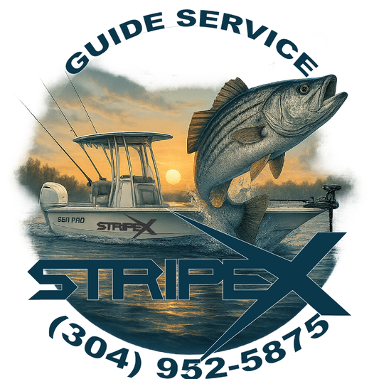 Boone Lake Striper Fishing Trip – Guided with StripeX